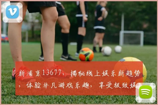 新浦京13677，揭秘线上娱乐新趋势，体验非凡游戏乐趣，享受极致娱乐体验