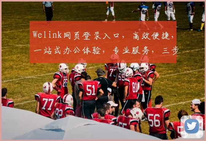 Welink网页登录入口，高效便捷，一站式办公体验，专业服务，三步快速登录，体验非凡