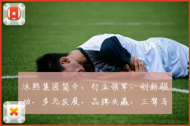 沐熙集团简介，行业领军，创新驱动，多元发展，品牌共赢，三驾马车，共筑辉煌