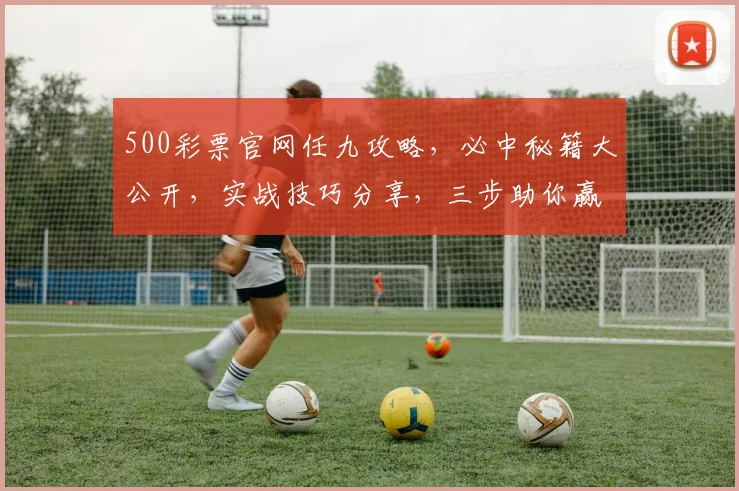 500彩票官网任九攻略，必中秘籍大公开，实战技巧分享，三步助你赢取大奖