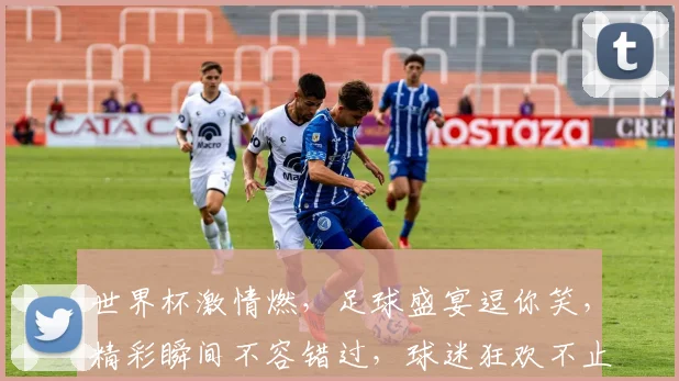 世界杯激情燃，足球盛宴逗你笑，精彩瞬间不容错过，球迷狂欢不止