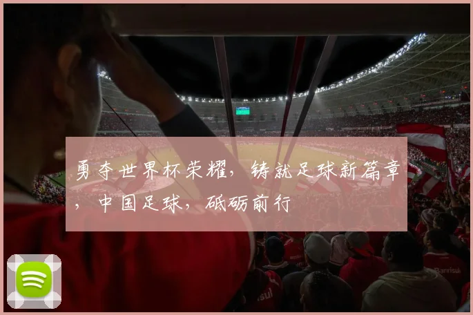 勇夺世界杯荣耀，铸就足球新篇章，中国足球，砥砺前行